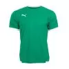 Puma Team Liga Jersey - Mens