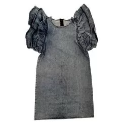 Denim Ruffle Dress -Fashion Store dress denim ruffle dress lola the boys 28194743156838