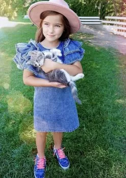 Denim Ruffle Dress -Fashion Store dress denim ruffle dress lola the boys 28396087017574