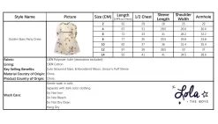 Golden Star Party Dress -Fashion Store dress golden star party dress lola the boys 28962905358438