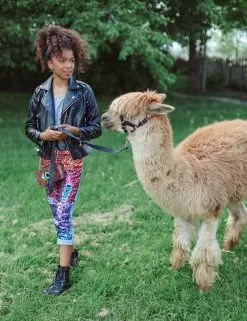 Infinity Stone Gem Vegan Jacket -Fashion Store jackets bombers infinity stone gem vegan jacket lola the boys 28236890079334