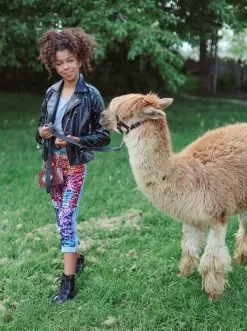 Infinity Stone Gem Vegan Jacket -Fashion Store jackets bombers infinity stone gem vegan jacket lola the boys 28236890144870