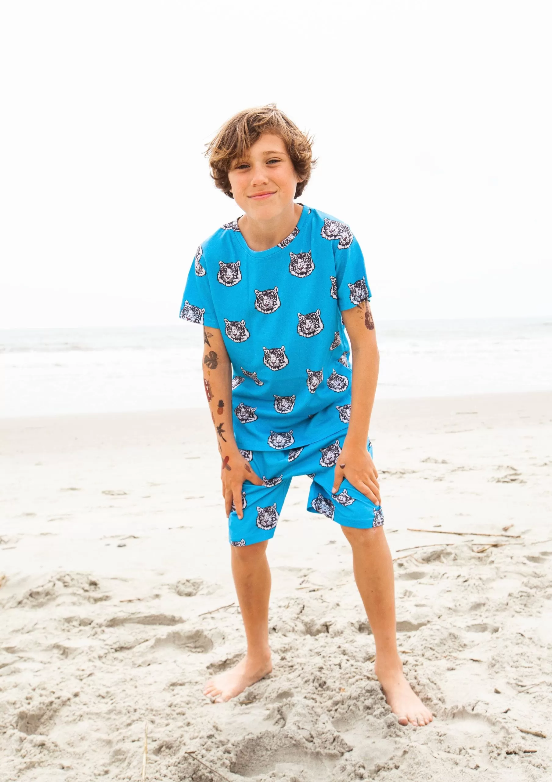 Mega Tiger Set 3 Mega Tiger Set