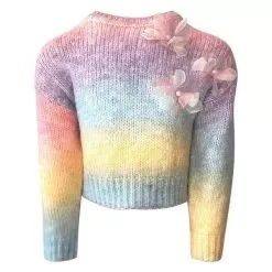 Ombre 3D Flower Sweater -Fashion Store ombre 3d flower sweater lola the boys 28197944918118