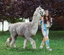 Be Happy Tie Dye Cropped Set -Fashion Store set be happy tie dye jogger set lola the boys 28236886868070