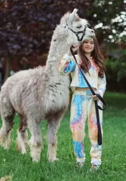 Be Happy Tie Dye Cropped Set -Fashion Store set be happy tie dye jogger set lola the boys 28236886900838