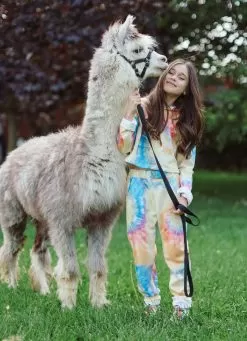 Be Happy Tie Dye Cropped Set -Fashion Store set be happy tie dye jogger set lola the boys 28236886933606