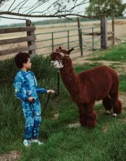 Deep In Space Set 17 Deep In Space Set -Fashion Store set deep in space set lola the boys 28236894568550