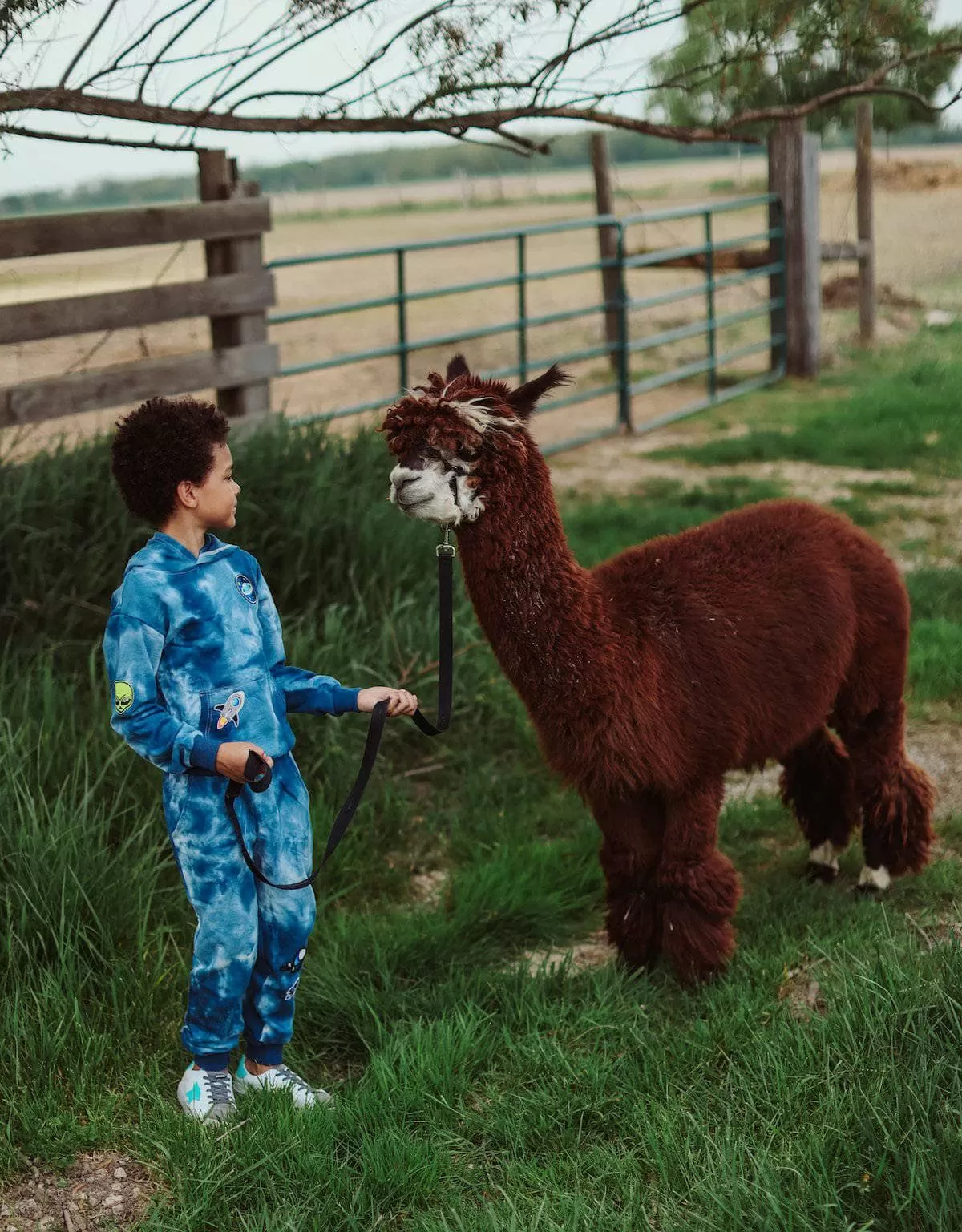 Deep In Space Set 8 Deep In Space Set - Image 6