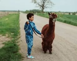 Deep In Space Set 18 Deep In Space Set -Fashion Store set deep in space set lola the boys 28236894634086