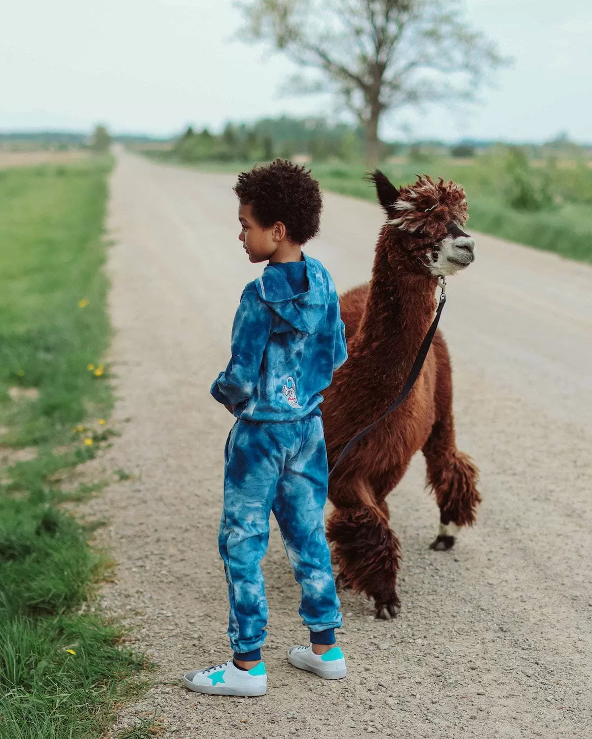 Deep In Space Set 10 Deep In Space Set - Image 8