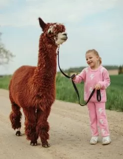 Fuzzy Flash Set -Fashion Store set fuzzy flash set lola the boys 28236934742118