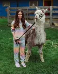 Sunset Knit Hoodie And Pants Set -Fashion Store set sunset sweater hoodie and pant set lola the boys 28369649893478