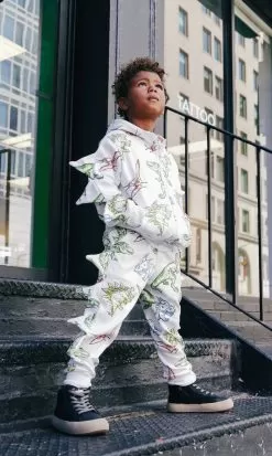 Dino Doodle Jogger Set -Fashion Store sets dino doodle jogger set lola the boys 29686608756838