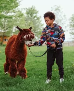 Camo "Fitting In" Set -Fashion Store sweaters sweatshirts camo fitting in hoodie lola the boys 28236992020582