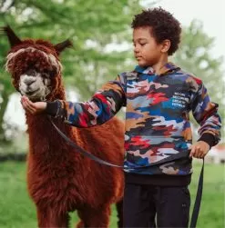 Camo "Fitting In" Set -Fashion Store sweaters sweatshirts camo fitting in hoodie lola the boys 28236992053350