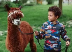 Camo "Fitting In" Set -Fashion Store sweaters sweatshirts camo fitting in hoodie lola the boys 28236994838630